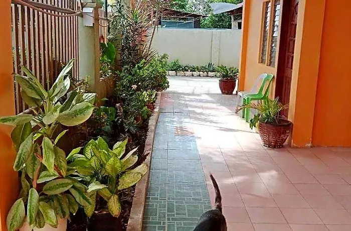 Jessa's 5 Guests House Moalboal